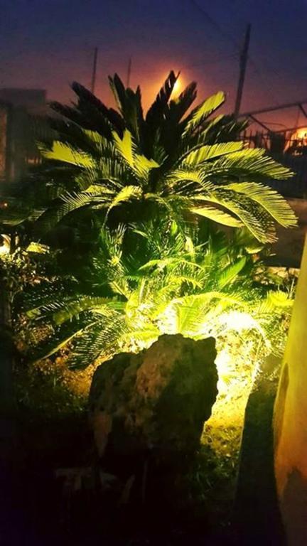 Lo Specchio Del Salento Bed and Breakfast Lecce Værelse billede